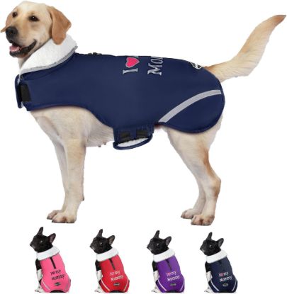 Picture of Doglay Warm Dog Coat